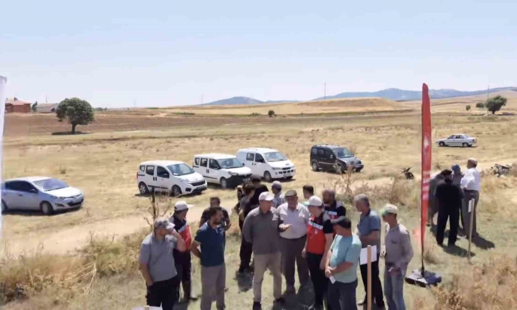 Kütahya’da 18 farklı nohut çeşidi aynı tarlada tanıtıldı