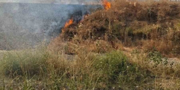 Şuhut’ta anız yangını paniğe neden oldu