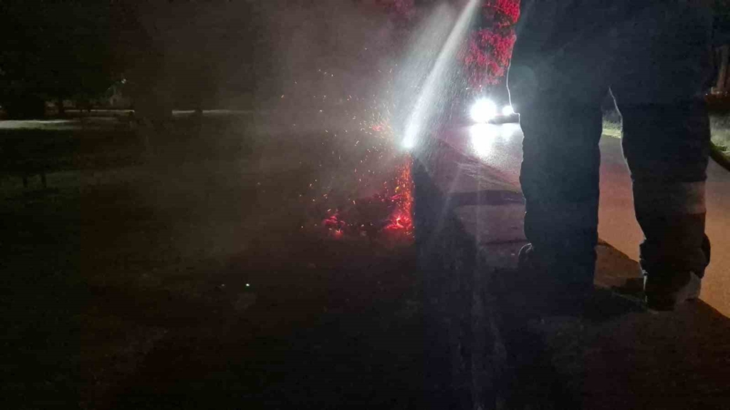 Eskişehir’de bir parkta kasten çıkarılan yangın ekipleri teyakkuza geçirdi