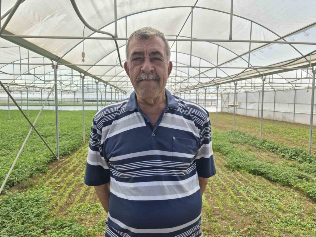 Yaz sıcağında serada zorlu üretim
