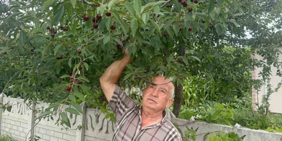 Stokların azlığı ve yüksek aroma tercihi Sultandağı vişnesini değerli yaptı