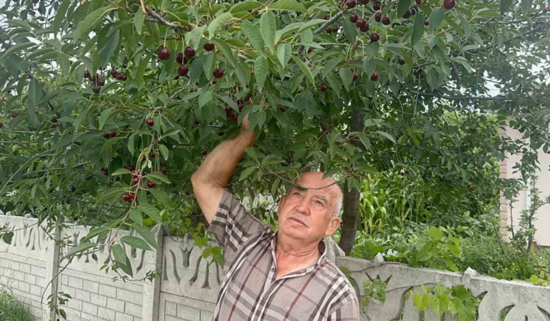 Stokların azalması ve yüksek aroması Sultandağı vişnesine talebi artırdı