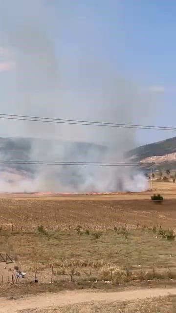 Bursa’da tarlalık alanı ateşe veren şüpheli yakalandı