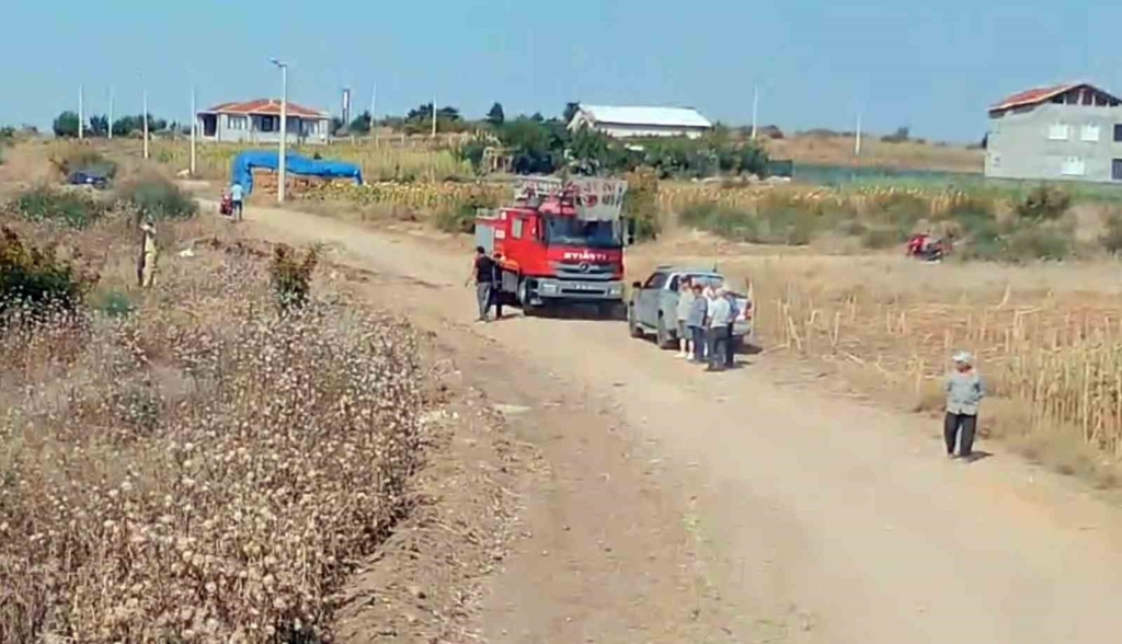 Meriç’te korkutan yangın: Yerleşim yerlerine sıçramadan yangın söndürüldü