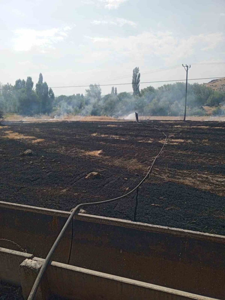 Şuhut’ta anız yangını paniğe neden oldu