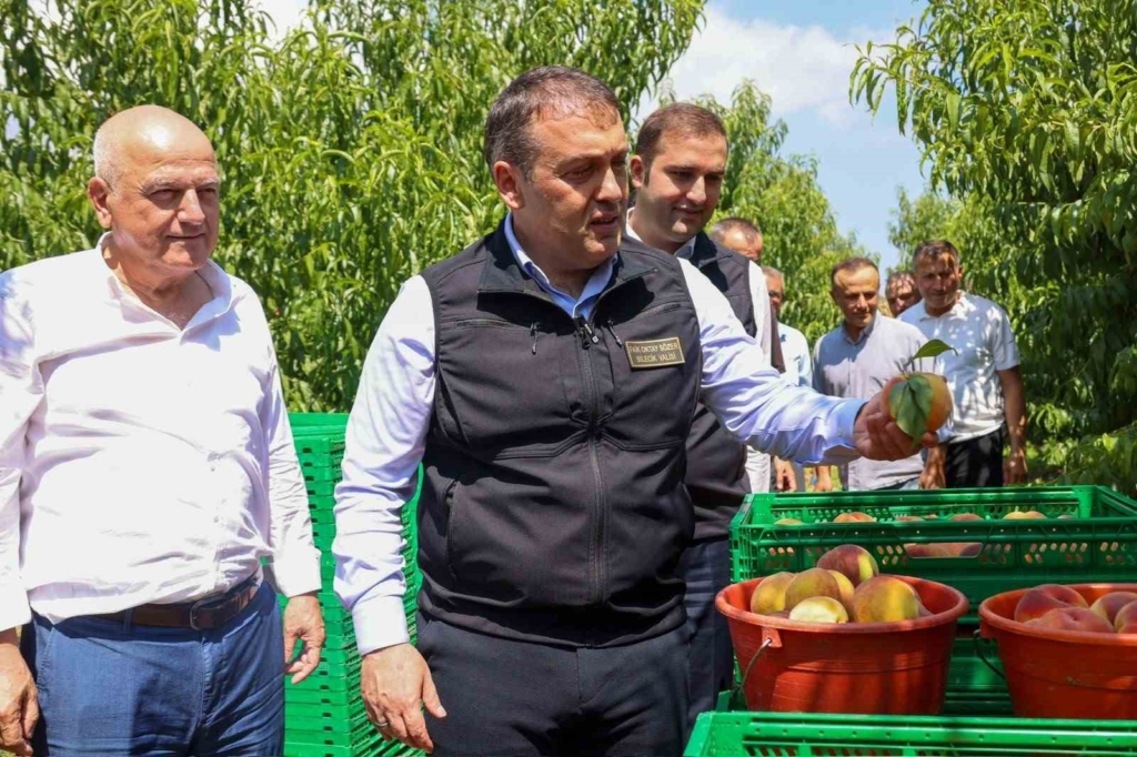 Bu nektarinin tamamı yurtdışına gönderiliyor