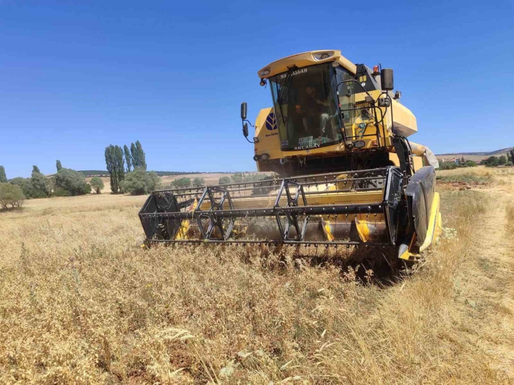 Kütahya’da yerli ve milli tohumlarda nohut hasadı gerçekleştirildi