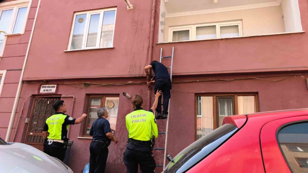 Yağmur suyu giderine sıkışan kediyi itfaiye kurtardı