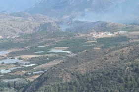 Bilecik’te orman yangını kontrol altına alındı