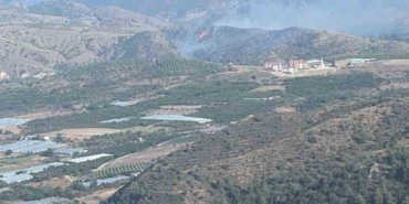 Bilecik’te orman yangını kontrol altına alındı
