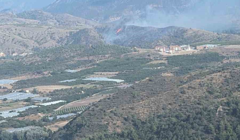 Bilecik’te orman yangını kontrol altına alındı