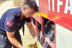 Eskişehir’de alevlerin arasında kalan kaplumbağayı itfaiye kurtardı