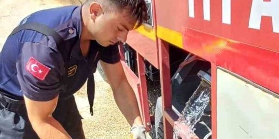 Eskişehir’de alevlerin arasında kalan kaplumbağayı itfaiye kurtardı