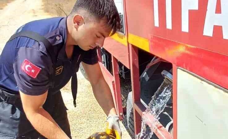 Eskişehir’de alevlerin arasında kalan kaplumbağayı itfaiye kurtardı