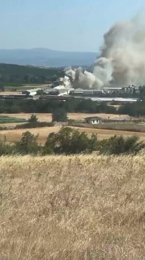 Bursa’da tavuk çiftliğinde yangın