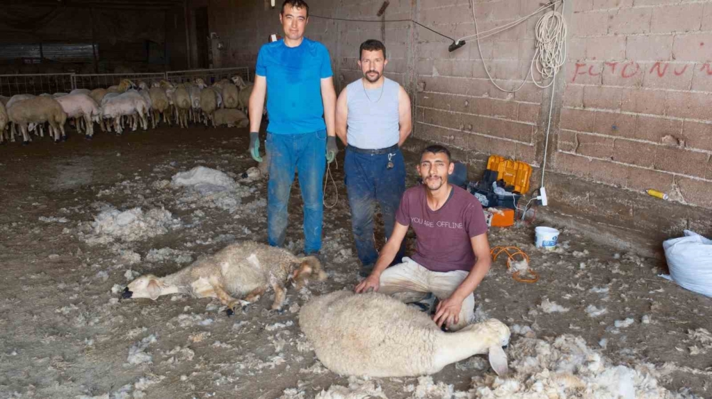 Kırkımcıların yaz sezonunda gelirleri genel müdür maaşını aratmıyor