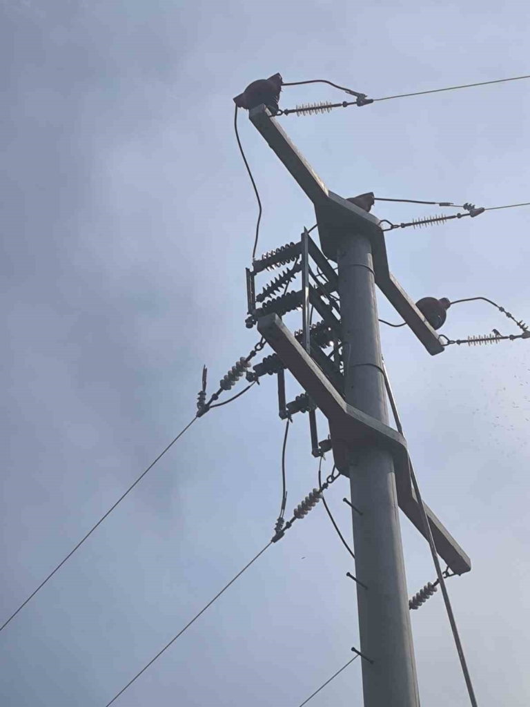 Eskişehir’de elektrik tellerine çarpan kuşun sebep olduğu yangın söndürüldü
