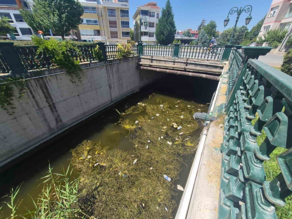 Porsuk Çayı’ndaki çöp kirliliği dikkat çekti