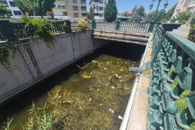 Porsuk Çayı’ndaki çöp kirliliği dikkat çekti