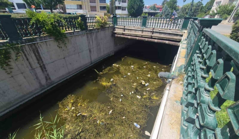 Porsuk Çayı’nda biriken çöpler çevre ve görüntü kirliliğine neden oldu