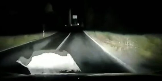 Otomobil domuza çarptı; çarpma anı araç kamerasında