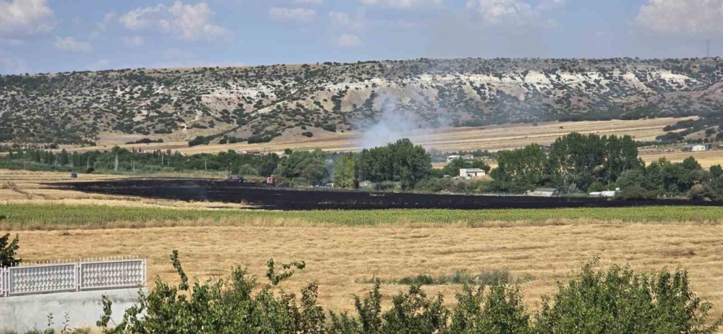 Eskişehir’de anız yangını yerleşim bölgesine ulaşmadan söndürüldü