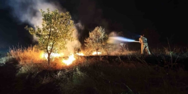 Kırsalda başlayan yangın ormana sıçradı