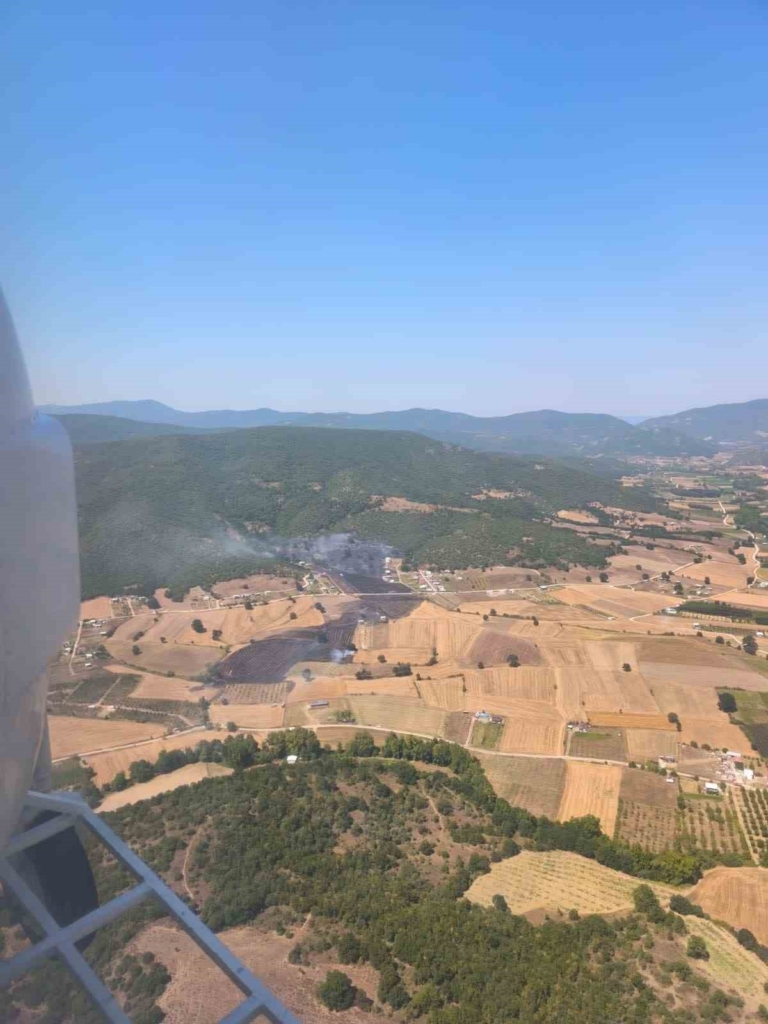 Bursa’da bir orman yangını daha