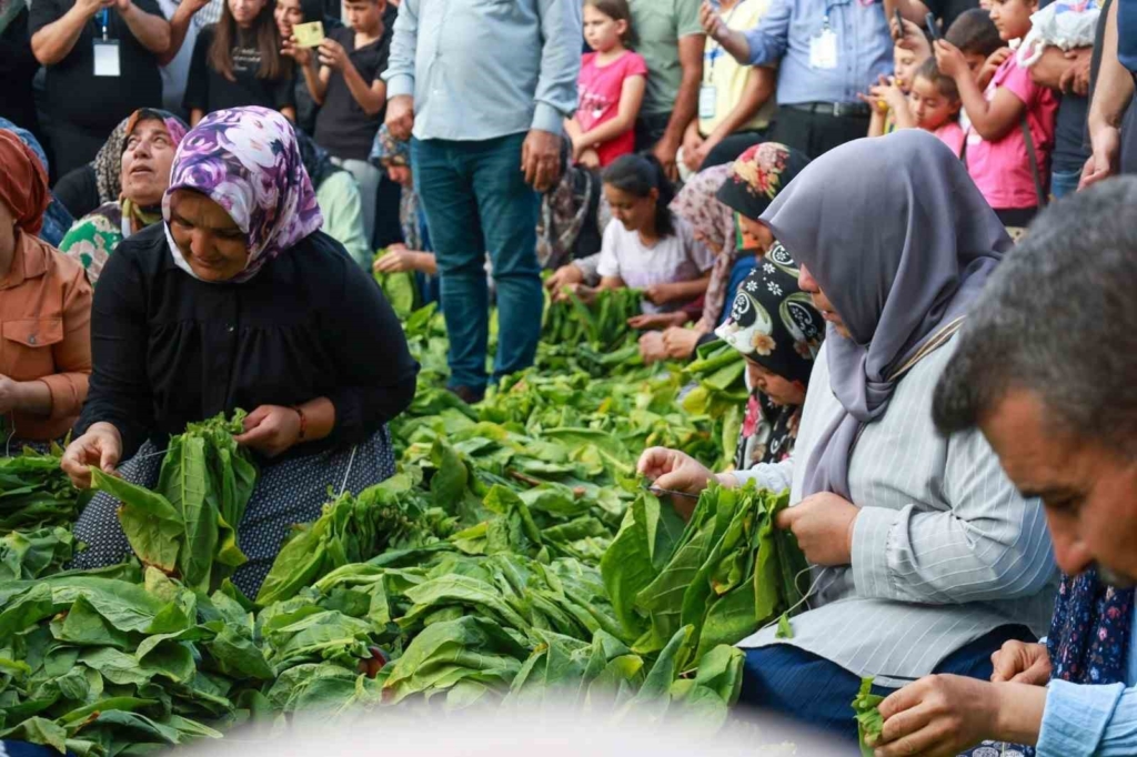 Aba Güreşi Festivali’nde güreş ağası Türk Devletleri Teşkilatı Aksakallar Heyeti Başkanı Binali Yıldırım oldu