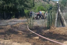 Otluk alandaki yangın ormana sıçramadan söndürüldü