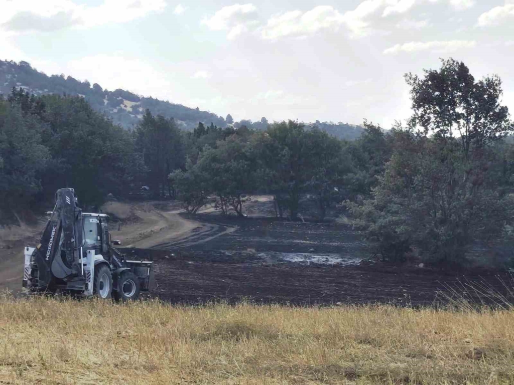 Kütahya’da yangının ardından tarım arazilerinde hasar tespiti