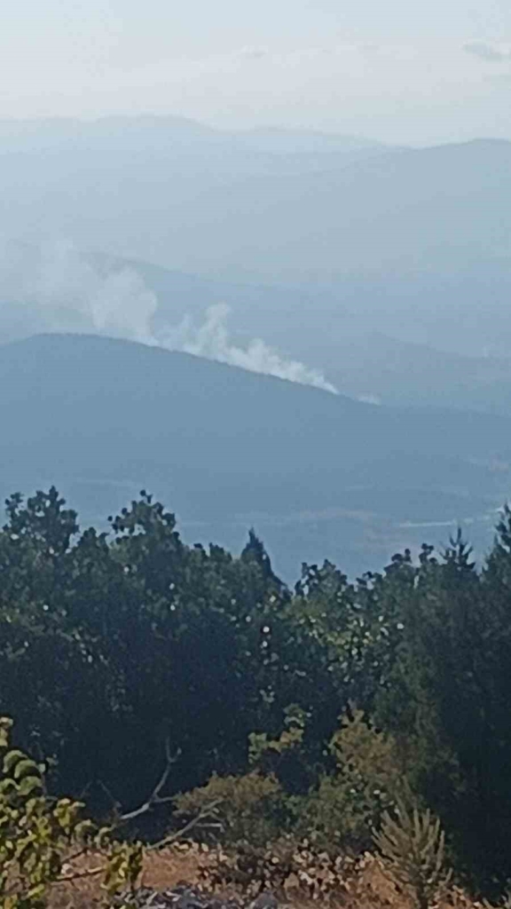 Bolu’da ormanlık alanda çıkan yangın kontrol altına alındı