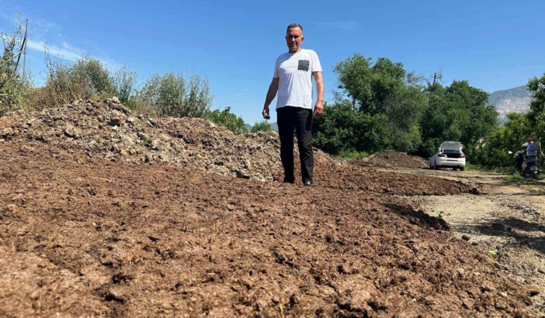 Bursalı üretici hayvansal gübreyle gübre maliyetini sıfırladı