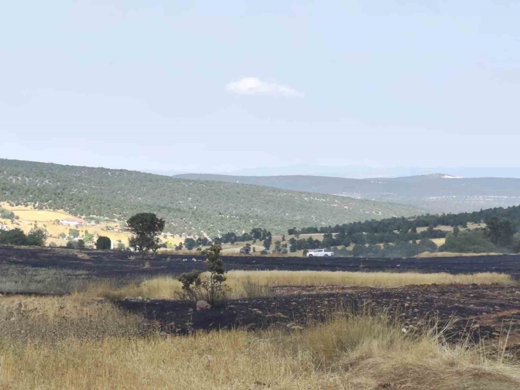 Kütahya’da yangının ardından tarım arazilerinde hasar tespiti