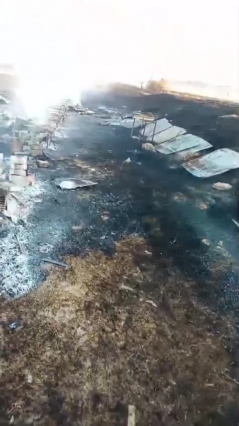 Arılıkta çıkan yangında çok sayıda arı telef oldu
