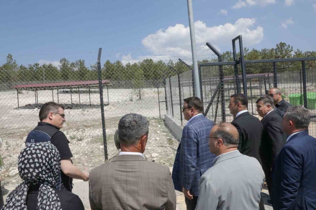 Emet Sahipsiz Hayvan Bakımevi hizmete açıldı