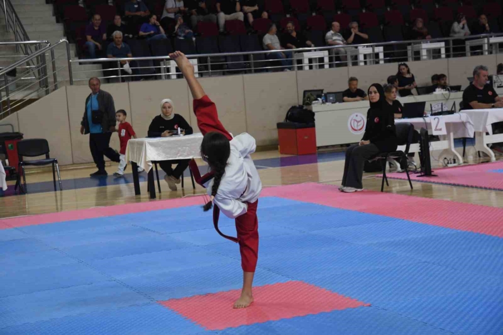 Eskişehir’de 2’inci İller Arası Taekwondo Poomsae Turnuvası heyecanı