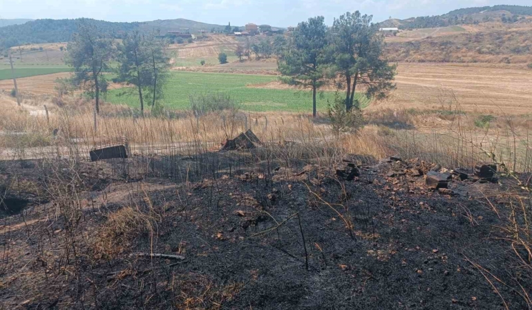 Bilecik’te ziraat alanındaki yangın büyümeden söndürüldü
