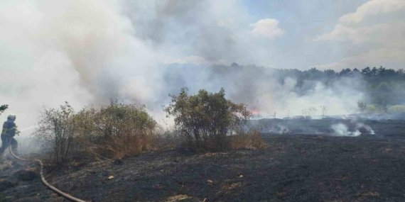 Bilecik’te çıkan yangında 30 dönümlük hasadı yapılmış buğday tarlası kül oldu