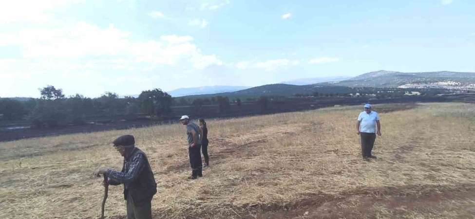 Kütahya’da yangının ardından tarım arazilerinde hasar tespiti