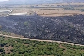Karacabey’de makilik alandaki yangın fabrikaya ulaşmadan söndürüldü