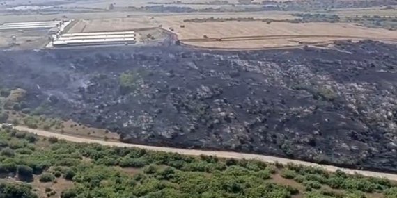 Karacabey’de makilik alandaki yangın fabrikaya ulaşmadan söndürüldü
