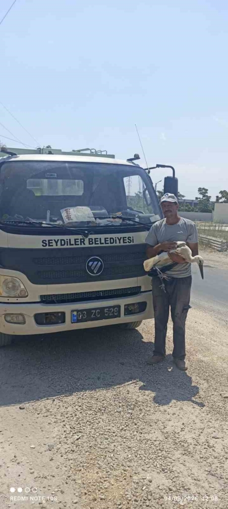 Yaralı leylek koruma altına alındı