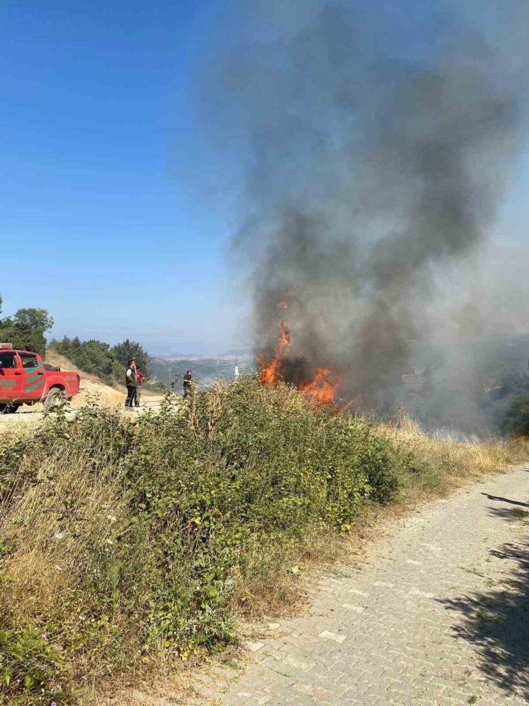 Bilecik’te devrilen elektrik direği yangına neden oldu