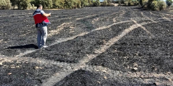 Domaniç’te yangın sonrası tarım alanlarında hasar tespit çalışması başlatıldı