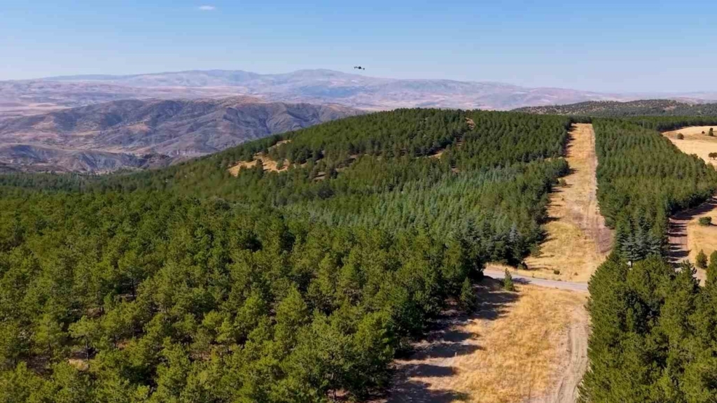 Yeşil vatana komando kalkanı: Yangın riskine karşı kontroller artırıldı