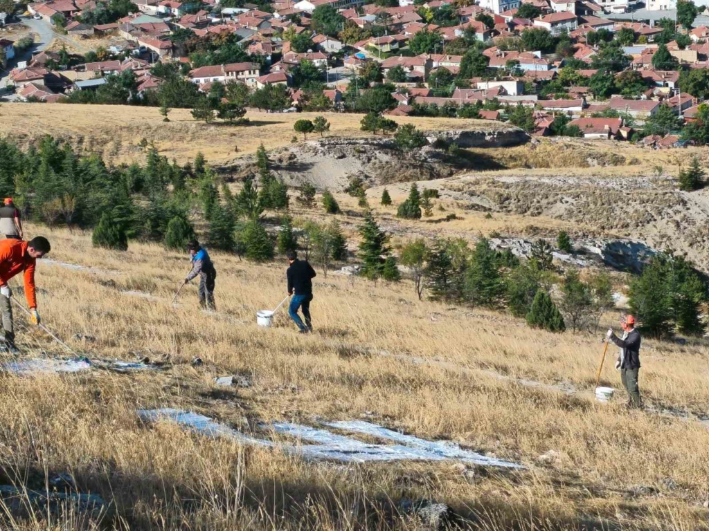 Seyitgazi Avdar bayırındaki dev ay yıldız için bakım ve boyama çalışması