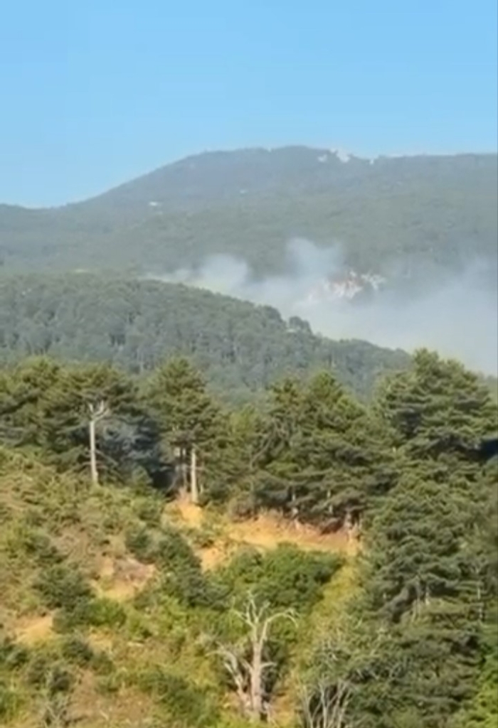 Uludağ’da orman yangını