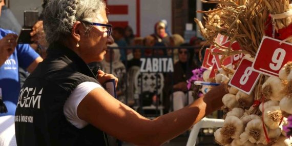 Dünyaca ünlü Taşköprü sarımsağı festivalde yarıştı: 80 demet arasından en iyi sarımsak seçildi