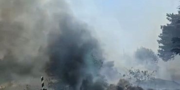 Eskişehir’de otluk alanda yangın
